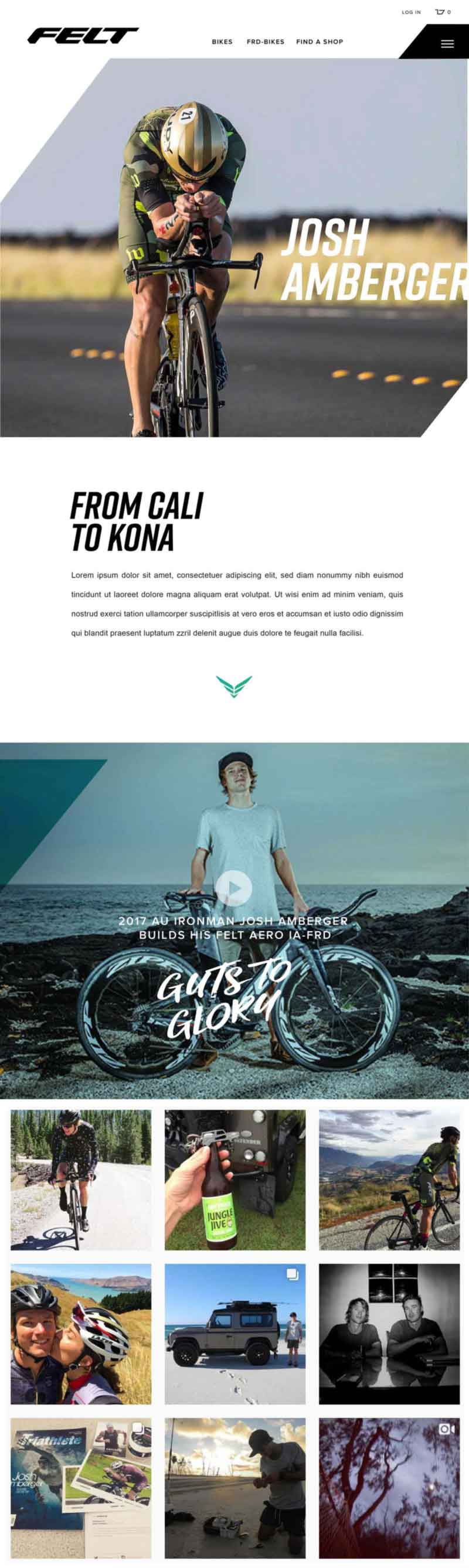 custom website developers and designers