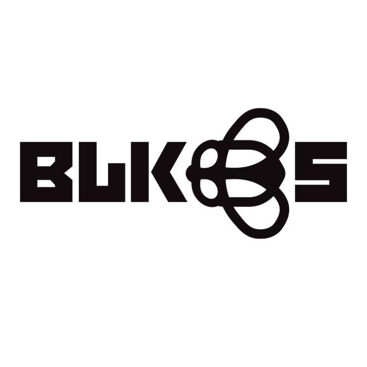 black flys new logo concept